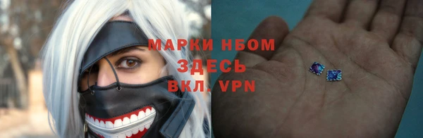 сатива Струнино