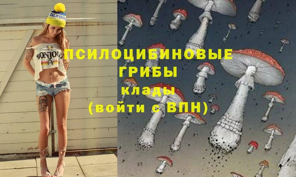 сатива Струнино