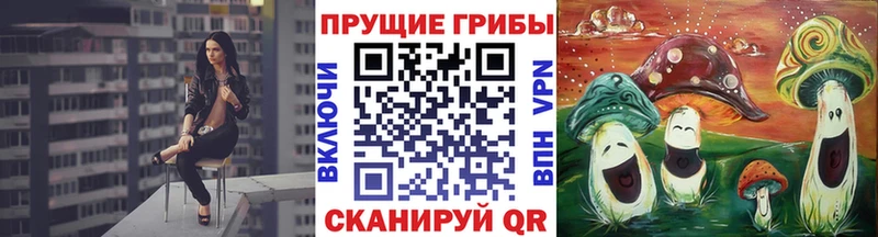 Галлюциногенные грибы ЛСД  Купить закладки  Мураши 
